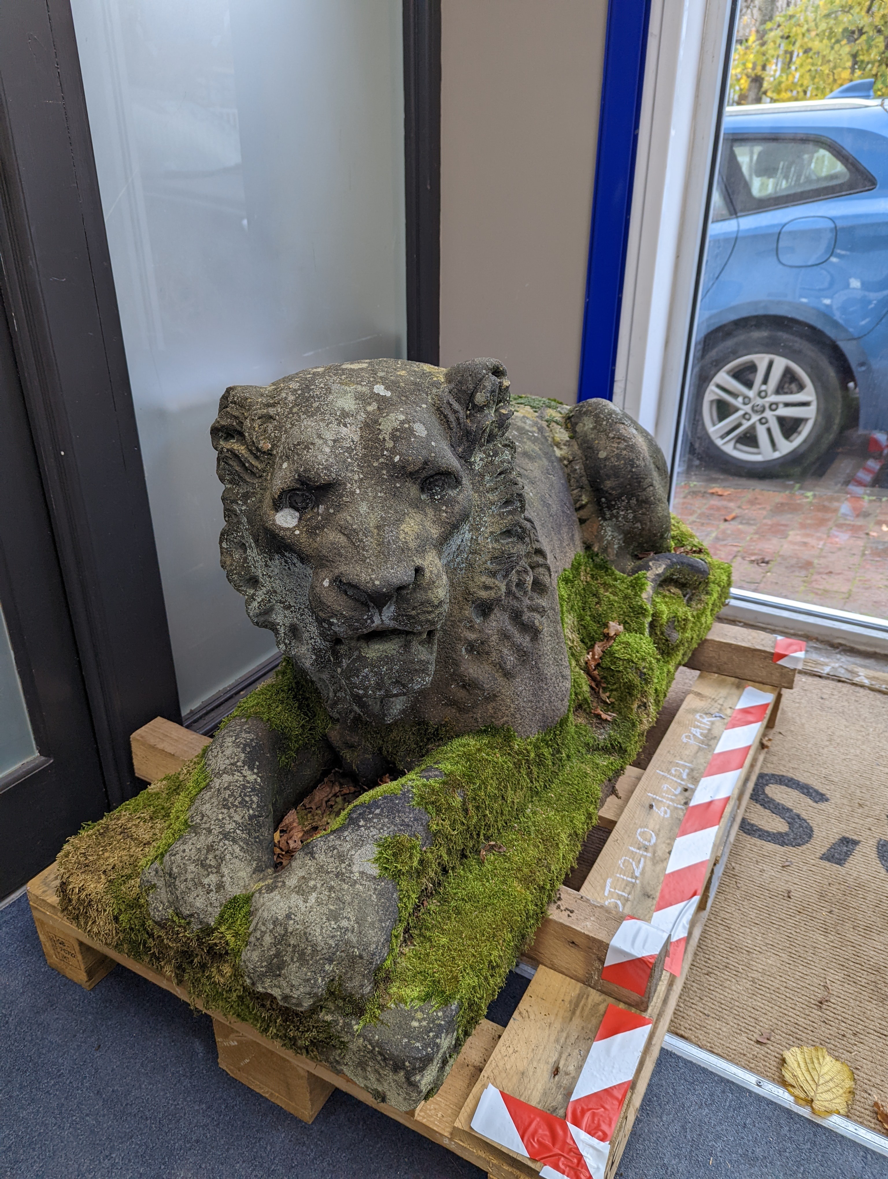 A pair of carved stone models of a recumbent lion and lioness, purchased from Crowther of Syon Lodge approximately 40 years ago. Length 122cm. Width 50cm. Height 60cm.